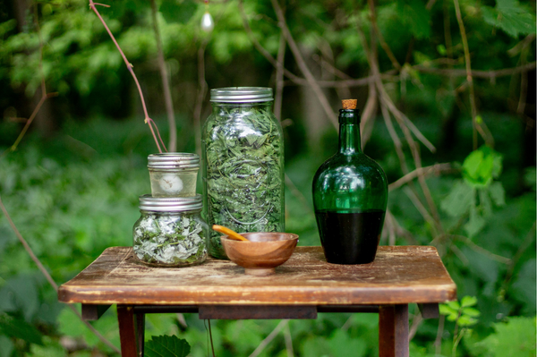 Protecting Your Energy: The Practice of the Witch Bottle