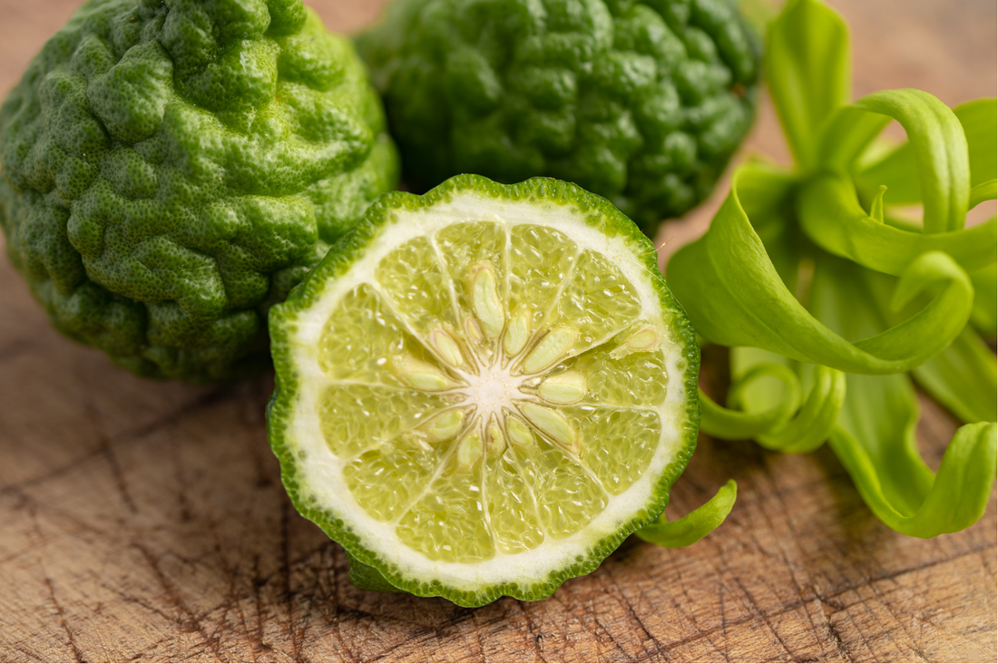 Bergamot